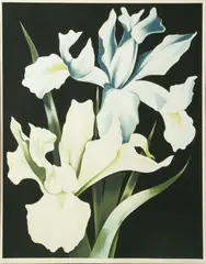 White Iris by Lowell Nesbitt, 1978, Screenprint in Colors on Wove Paper, sold Jul 2025