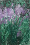 Margie Hughto, Afternoon Blooming, 1984, Mixed Media on Handmade Paper
