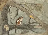 Charles Culver, Chipmunk, Watercolor, Pastel, Charcoal on Paper