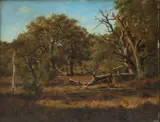 Léon Richet, Wooded Landscape, Oil on Cradled Mahogany Panel