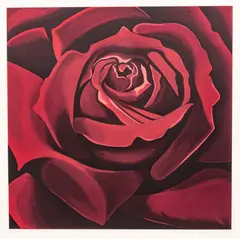 Red Rose by Lowell Nesbitt, 1978, Serigraph on Paper, sold Apr 2025