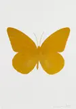 Damien Hirst, The Souls I-IV (4 Blätter), 2010, Print