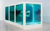 Damien Hirst, The Physical Impossibility of Death in the Mind of Someone Living (Lenticular Shark), 2013