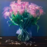 Michael Wesely, Stillleben (1.3. - 8.3.2011), 2013, Chromogenic print