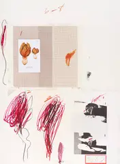 Cy Twombly, Natural History Part I, Mushrooms, 1974, Series of 10 Lithograph in colors with heliotyp...