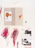 Cy Twombly, Natural History Part I, Mushrooms, 1974, Series of 10 Lithograph in colors with heliotyp...
