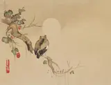 Kōrin Ogata, An album depicting flowers and birds. 19th century, Beginning with a crane beneath plum blossom branches and ending with a cedar tree and a bird in snow. Ink, colours with tarashikomi, gofun and gold on paper. All leaves with the seals Kōrin, Kōkkyō Kōrin or Dōsū; the last leaf inscribed Hokkyō Kōrin. Brocade-covered album covers; title slip reading Kachō Kōrin hitsu. Image dimensions