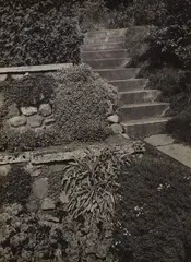 Parklandschaft, Hamburg-Blankenese by Albert Renger-Patzsch, 1928, Vintage gelatin silver print, sold Jun 2026