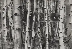Herbert Bayer, In Search of Times Past, 1959, Gelatin silver print, printed