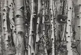 Herbert Bayer, In Search of Times Past, 1959, Gelatin silver print, printed
