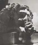 Horst P. Horst, Sleepy Lion at the Necropolis, Greece, 1939, Platinum palladium print, printed later