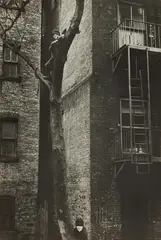 Helen Levitt, New York, 1936-41, Gelatin silver print, printed c.