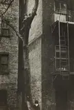 Helen Levitt, New York