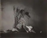 Josef Sudek, Still life after Caravaggio, Ivancice, 1956, Vintage gelatin silver print
