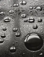 Peter Keetman, Öltropfen, 1956, Ferrotyped gelatin silver print on Agfa paper, printed later