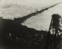 Charles Pratt, New Jersey Marshlands (from the series: The Edge of the City), 1963, Vintage gelatin silver print