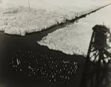 Charles Pratt, New Jersey Marshlands (from the series: The Edge of the City), 1963, Vintage gelatin silver print