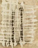 Chargesheimer, Untitled