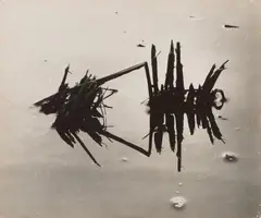 Lucien Clergue, Le Marais d'Arles: Riz, 1960, Vintage ferrotyped gelatin silver print