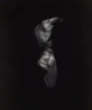 Victor Skrebneski, Nude (from the series: Backs), 1989, Gelatin silver print on Agfa paper