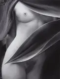Flor Garduño, Vestido elegante, México, 1997, Gelatin silver print, printed