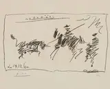 Pablo Picasso, Toros