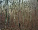 Alec Soth, 2006_03z10016 (Monk in Woods), 2006, Archival inkjet print, mounted on cardboard and aluminium composite panel, printed