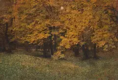 Hans Watzek, Untitled (Waldstück), c. 1900, Gum print in two colors