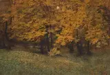 Hans Watzek, Untitled (Waldstück), c. 1900, Gum print in two colors