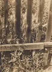 Ilse Bing, Untitled, 1929, Vintage gelatin silver print