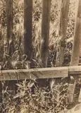 Ilse Bing, Untitled