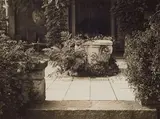 Albert Renger-Patzsch, Parc landscape, Hamburg-Blankenese, 1928, Vintage gelatin silver print