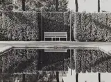 Albert Renger-Patzsch, Park landscapes, Hamburg- Blankenese, 1925. 1928, 2 vintage gelatin silver prints. Each