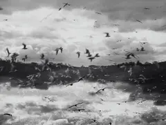 Mario Giacomelli, Untitled, 1980s, Vintage gelatin silver print