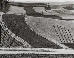 Peter Keetman, Hallertau-Landschaft, 1959, Ferrotyped gelatin silver print on Agfa paper, printed later