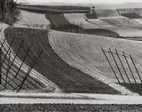 Peter Keetman, Hallertau-Landschaft, 1959, Ferrotyped gelatin silver print on Agfa paper, printed later