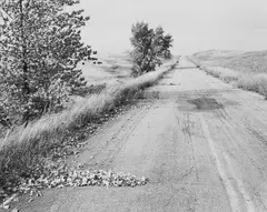 Robert Adams, Nebraska State Highway 2, Box Butte County, Nebraska, 1978, Gelatin silver print, printed