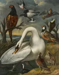 attributed to Francis Barlow, Swan, Pheasant, Parrot and other Birds on a Shoreline, Oil on canvas (relined)