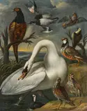 attributed to Francis Barlow, Swan, Pheasant, Parrot and other Birds on a Shoreline, Oil on canvas (relined)