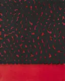 Mark Francis, Growth (Challenger), 1998, Oil on canvas