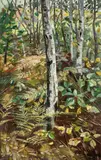 Karl Hagemeister, Birkenwald