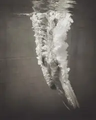 Leni Riefenstahl, Nach dem Sprung, 1936, Gelatin silver print, printed c.