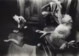 Jakob Tuggener, Küche in Morasco, Tessin, 1945, Gelatin silver print on Agfa paper, printed later