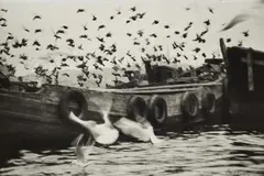 Ara Güler, Istanbul, 1954, Gelatin silver print, printed later