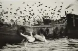 Ara Güler, Istanbul, 1954, Gelatin silver print, printed later