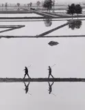 Gianni Berengo Gardin, Milano, 1970, Gelatin silver print, printed later
