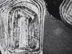Mario Giacomelli, Untitled (from the series: Presa di coscienza sulla natura), 1992, Gelatin silver print on Agfa paper