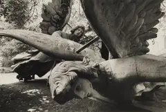 Sibylle Bergemann, Berlin, 1975, Gelatin silver print, mounted on cardboard