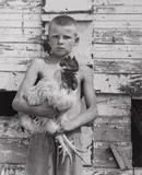Shelby Lee Adams, Erik with Spike the Rooster, 2001, Gelatin silver print