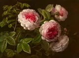 Johan Laurentz Jensen, Pink Roses, Oil on panel